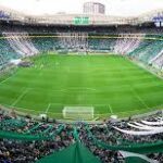Torcida do Palmeiras cresce no Ranking