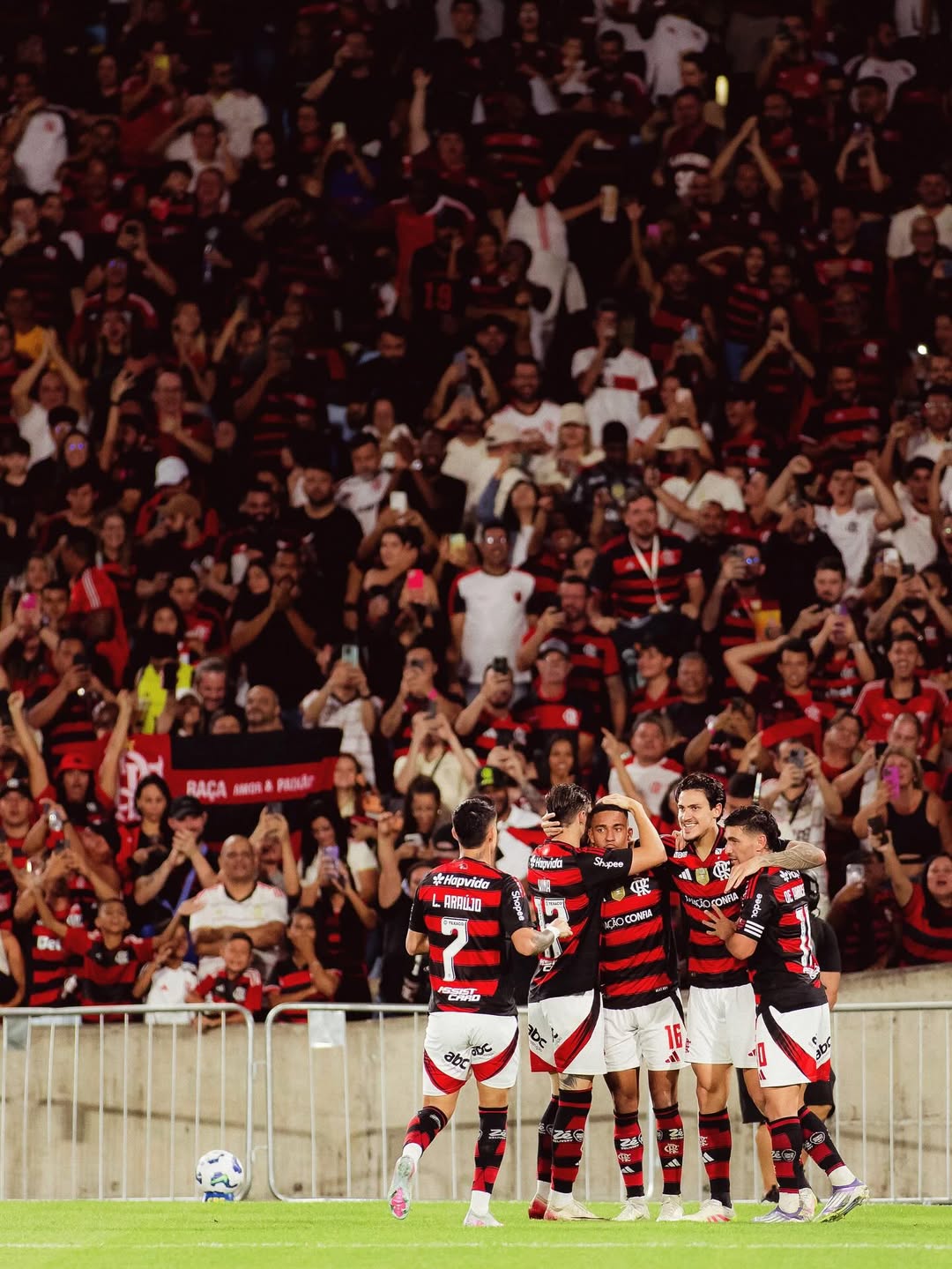 Flamengo na vigésima rodada do Brasileirão