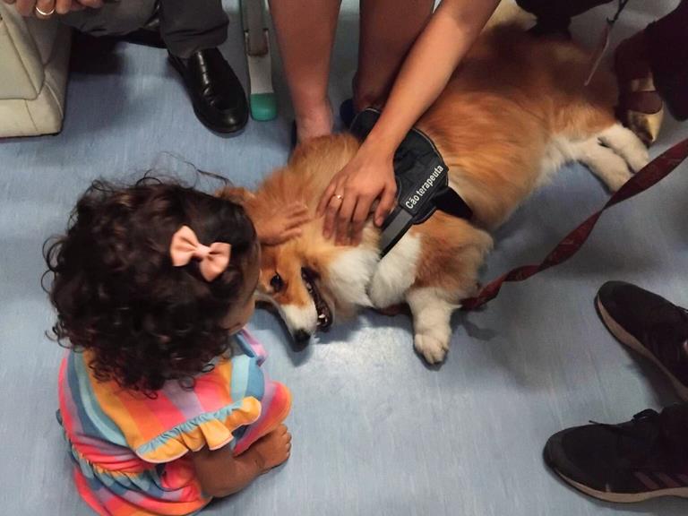 Cães terapeutas do Projeto Pelo Próximo visitam crianças no HUAP-UFF em Niterói no dia 29/08, promovendo acolhimento, autoestima e alívio emocional.