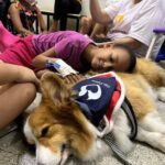 Cães terapeutas do Projeto Pelo Próximo visitam crianças no HUAP-UFF em Niterói no dia 29/08, promovendo acolhimento, autoestima e alívio emocional.