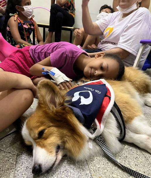 Cães terapeutas do Projeto Pelo Próximo visitam crianças no HUAP-UFF em Niterói no dia 29/08, promovendo acolhimento, autoestima e alívio emocional.