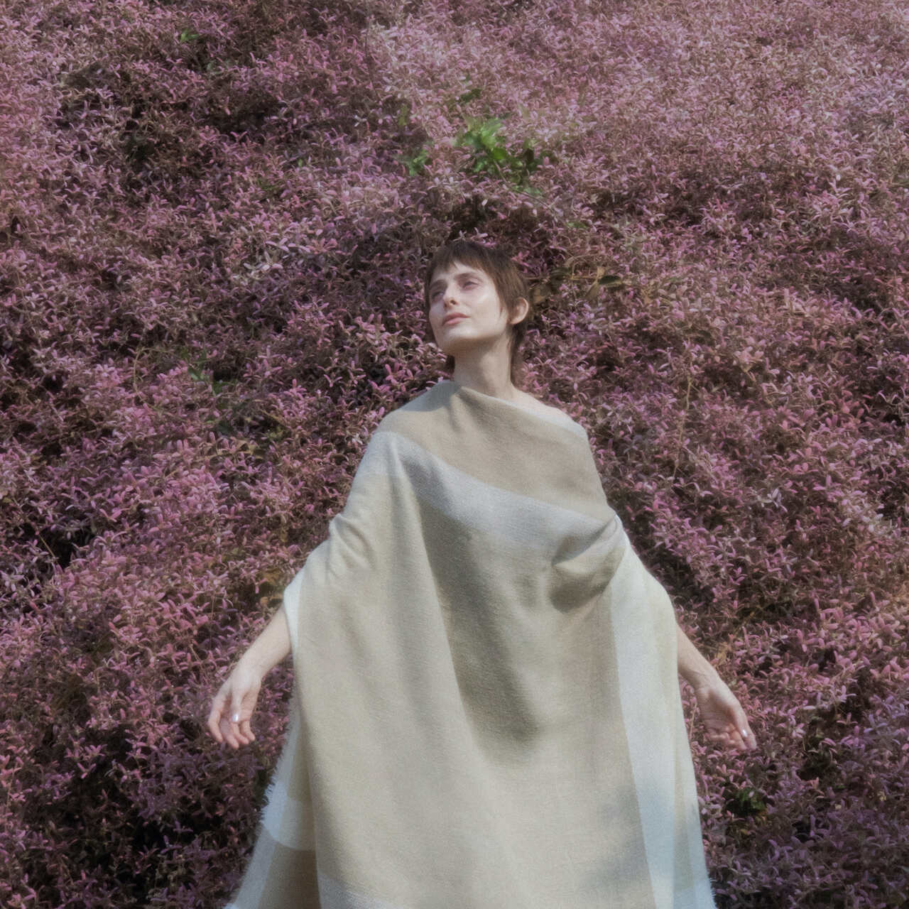 Capa do álbum Alvorada - Nay Porttela lança Alvorada com influências de MPB, jazz e sonoridades globais.