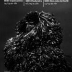 O espetáculo “Gorila de Saco” estreia no teatro na abertura do Festival Palavra Líquida 2025, no Sesc Copacabana e São João de Meriti, com apresentações gratuitas que unem dança, música e tradição popular.