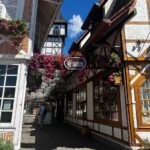 Campos do Jordão - Foto: Giovanna Moretti