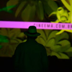 Pessoa assiste à projeção do Festival Cine.Ema, com tela iluminada e endereço do site cineema.com.br ao fundo.