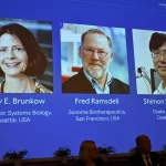 Mary E Brunkow, Fred Ramsdell e Shimon Sakaguch, ganhadores do Prêmio Nobel de Medicina 2025.