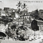 Dia Nacional do Cortiço